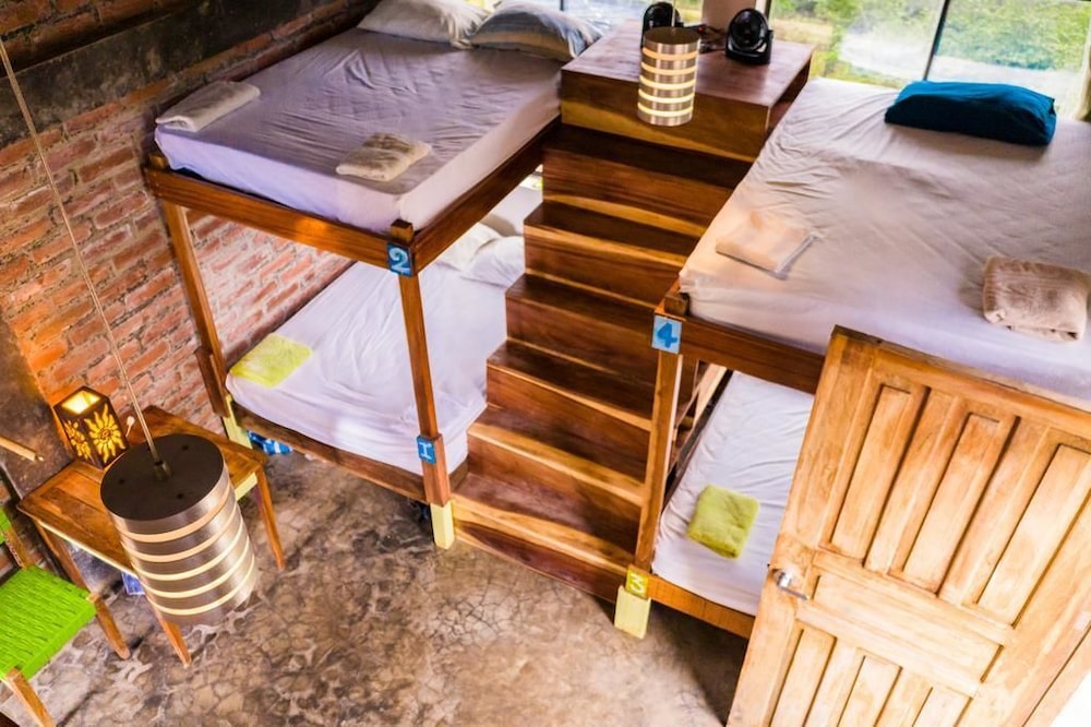 Deluxe Shared Dormitory photo 3