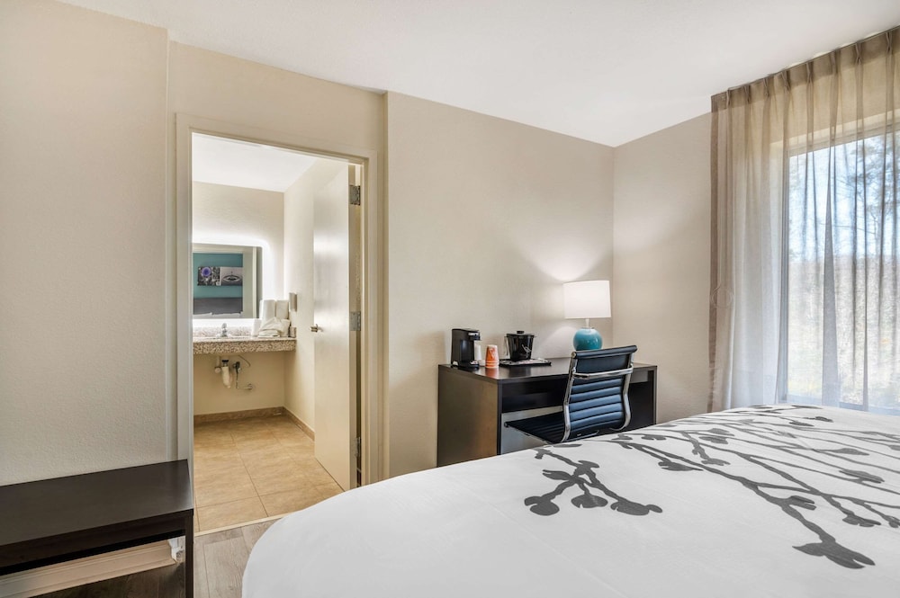 Suite, 1 King Bed with Sofa bed, Accessible, Non Smoking - Photo 4