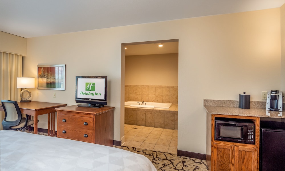 Suite, 1 King Bed - Photo 1