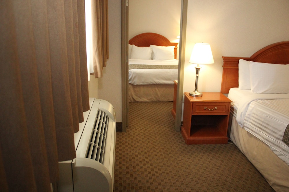 Studio, Multiple Beds, Non Smoking - Photo 3
