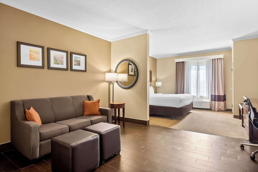 Suite, 1 King Bed with Sofa bed, Accessible, Non Smoking - Photo 1