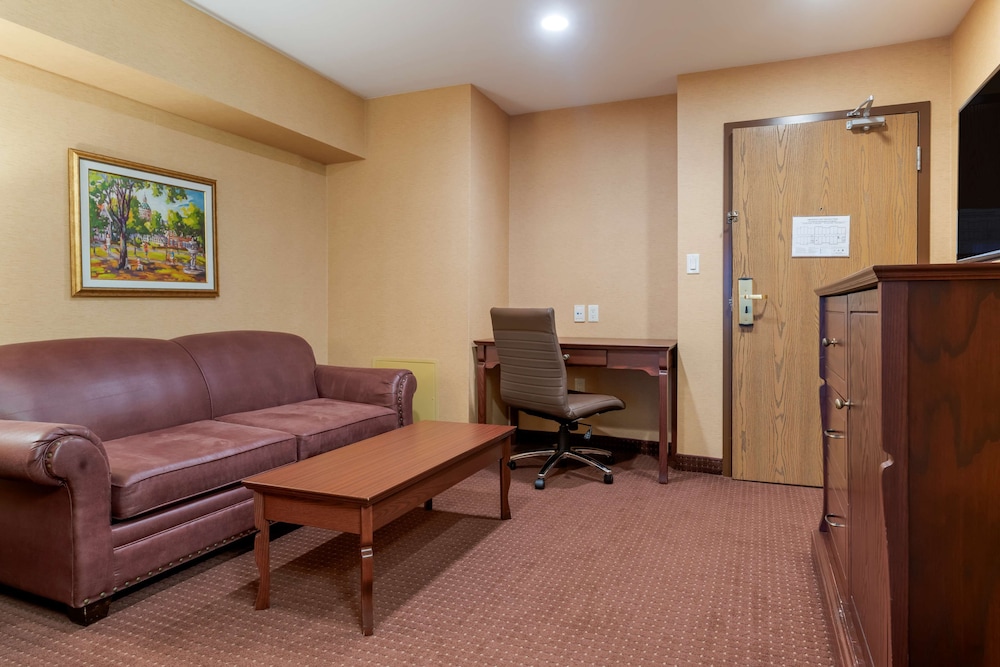Suite, 1 King Bed, Non Smoking, Refrigerator & Microwave (with Sofabed) photo 1