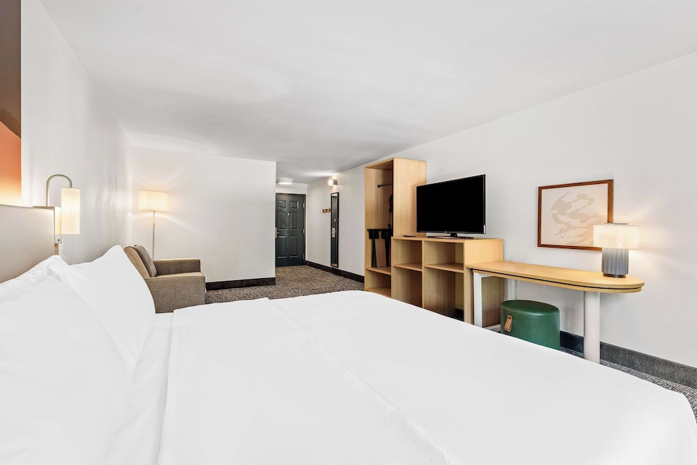 Room, 1 King Bed, Accessible (Hearing) - Photo 4