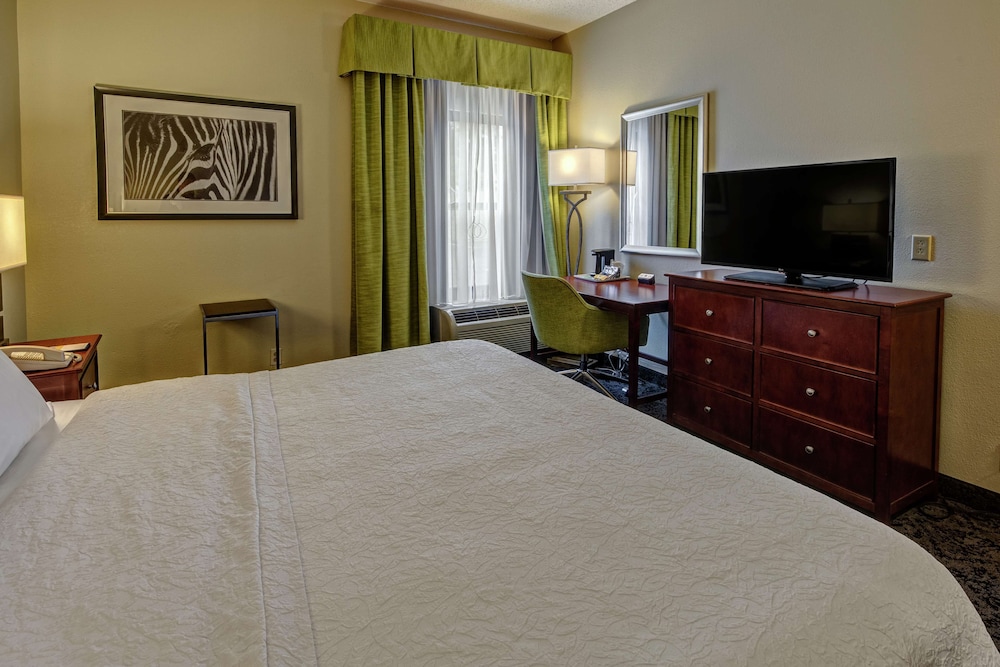 Room, 1 King Bed, Accessible, Non Smoking - Photo 1