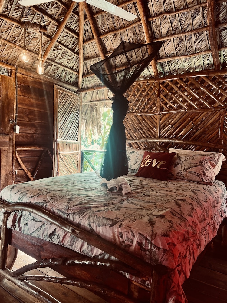 Standard Tree House photo 3