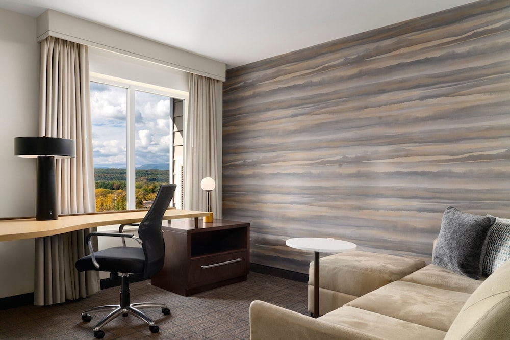 Suite, 1 Bedroom, Mountain View photo 2