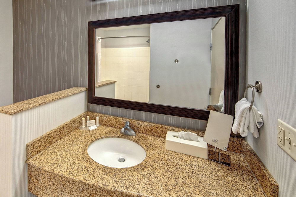 Room, 1 King Bed (Mobility/Hearing Access, Roll-in Shwr) - Photo 3