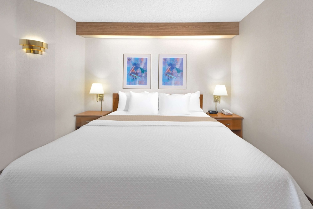 Standard Room, 1 King Bed, Accessible - Photo 3