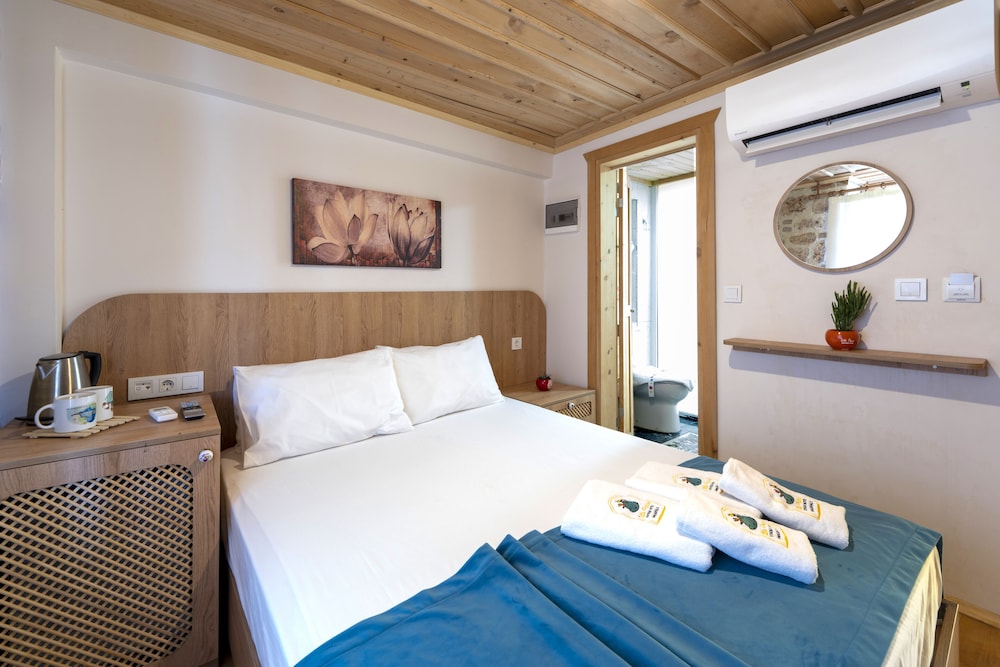 Standard Double Room, 1 Queen Bed, Non Smoking, Courtyard View