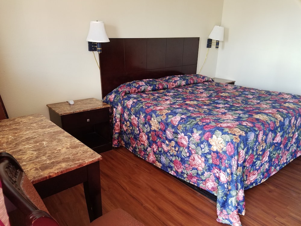 Room, 1 King Bed photo 3
