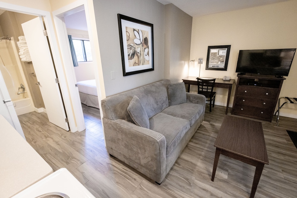 Suite, 1 Bedroom, Kitchen - Photo 7