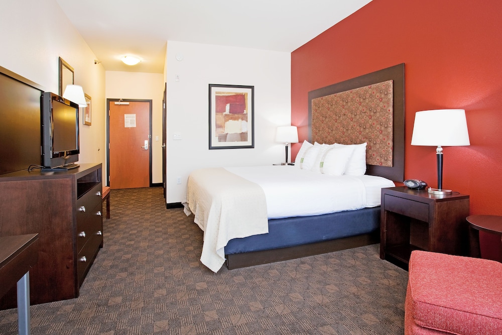 Standard Room, 1 King Bed, Accessible (Hearing, Mobility Tub) - Photo 1