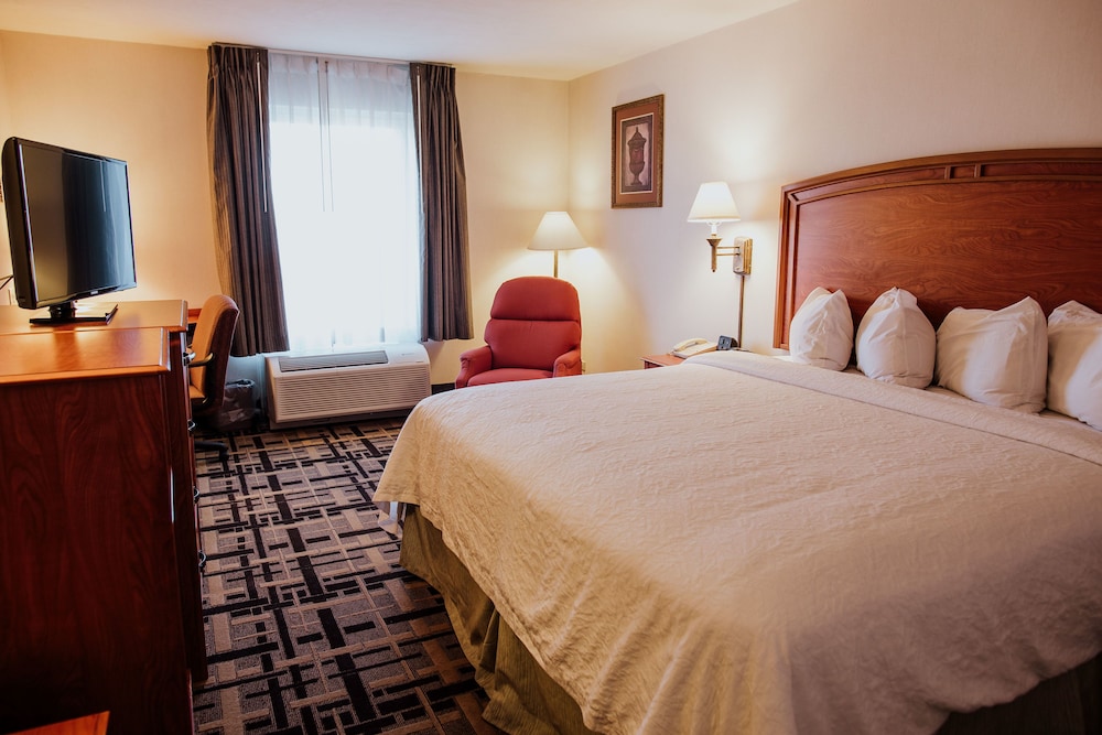 Room, 1 King Bed