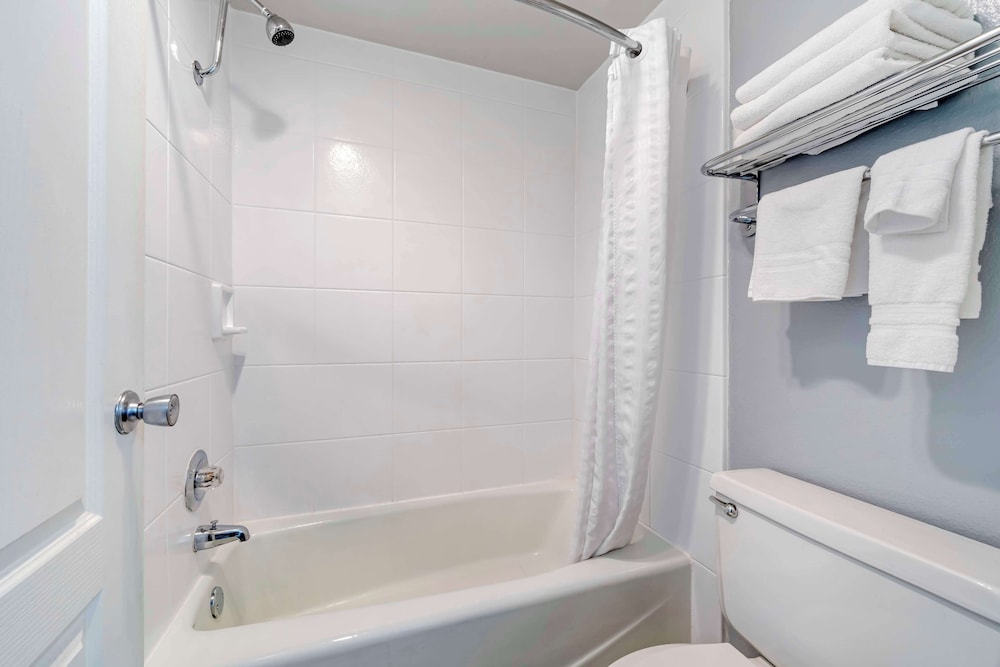 Suite, 1 King Bed, Non Smoking, Balcony (with Sofabed) - Photo 4