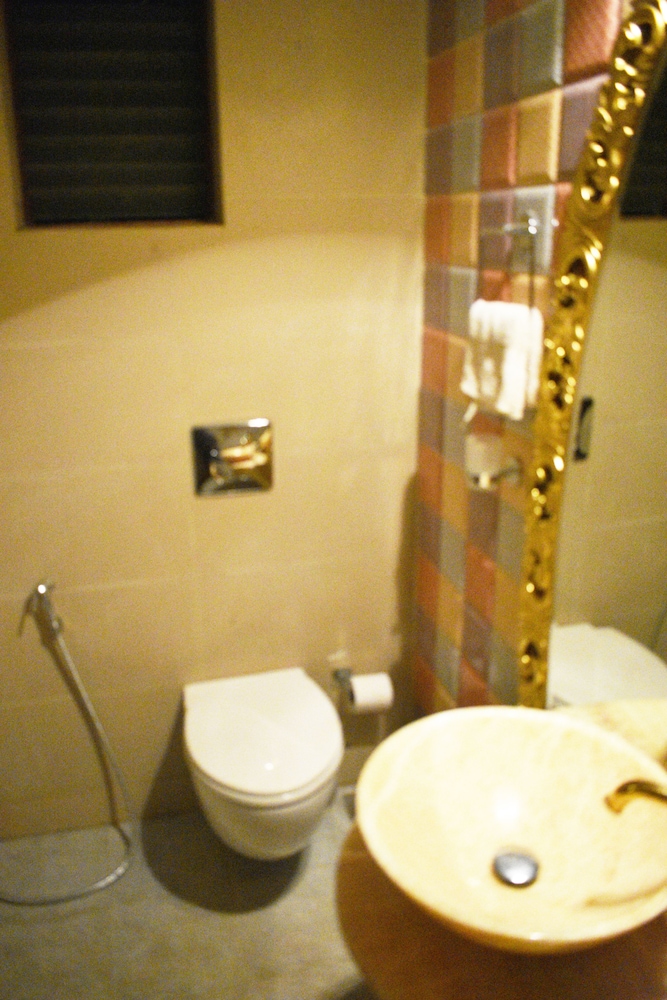 Deluxe AC Room photo 3