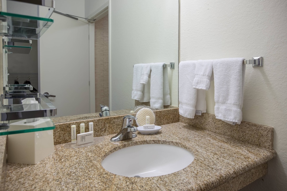 Suite, 1 Bedroom - Photo 9