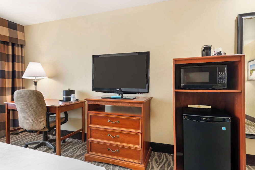 Standard Room, 1 King Bed, Non Smoking, Refrigerator & Microwave (Pet Friendly) - Photo 3