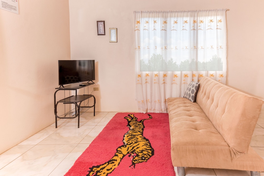 Apartment, 1 Queen Bed with Sofa bed photo 1