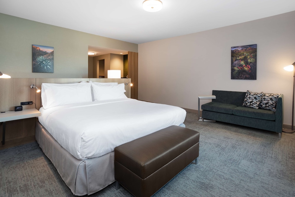 Room, 1 King Bed, Accessible (Roll-In Shower) photo 1
