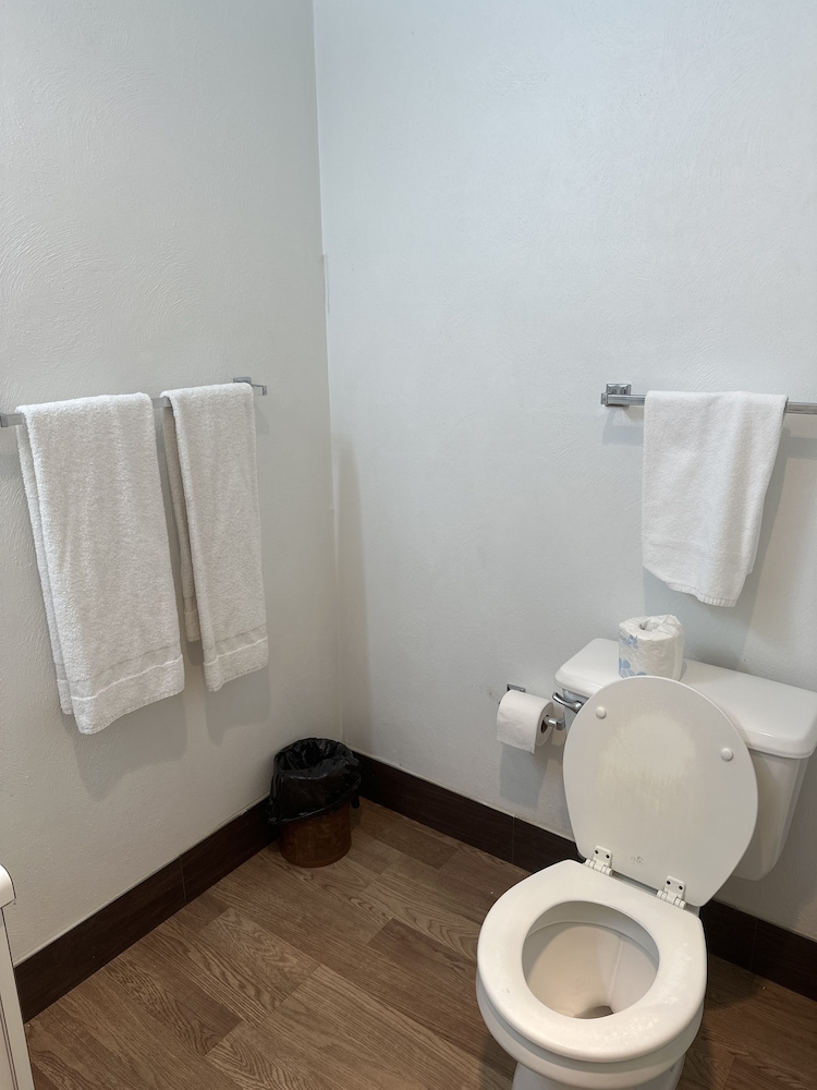 Comfort Double Room Single Use photo 3