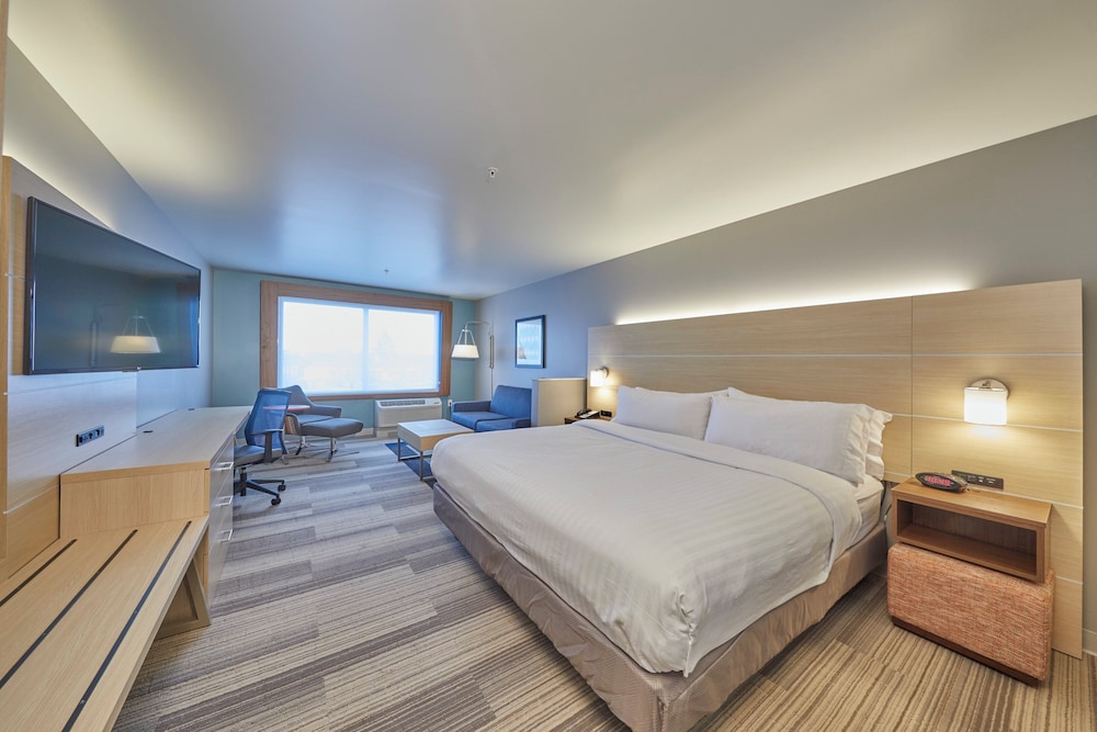Suite, 1 King Bed, Accessible (Communications) photo 3