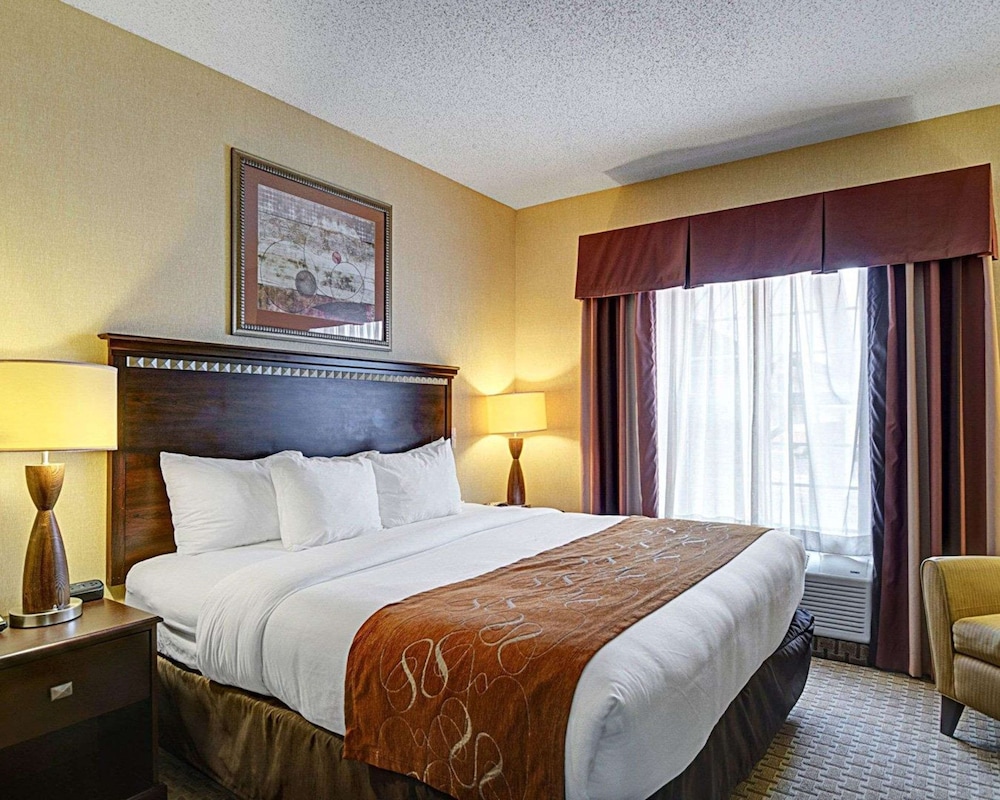 1 King Suite - Photo 6