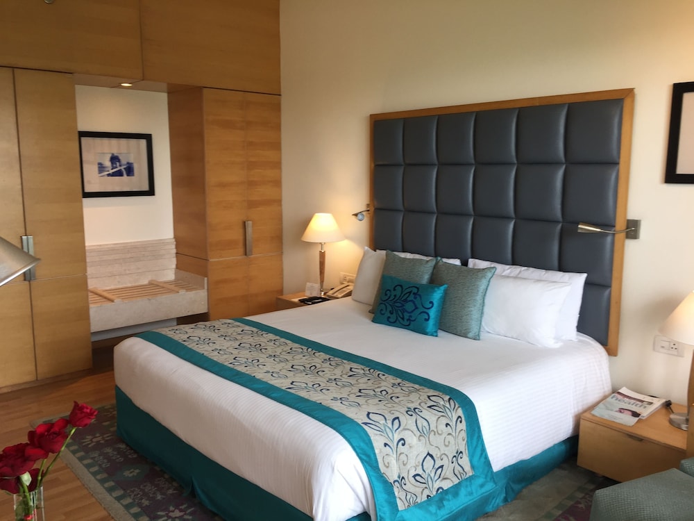 Luxury Suite, 1 Queen Bed