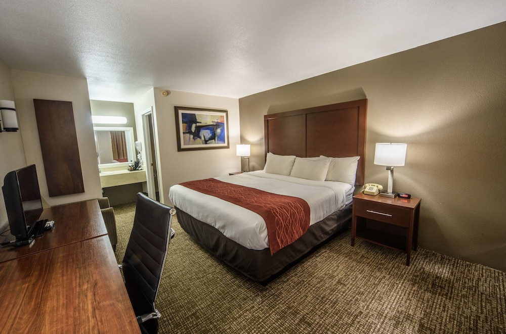 Premium Room, 1 King Bed photo 2