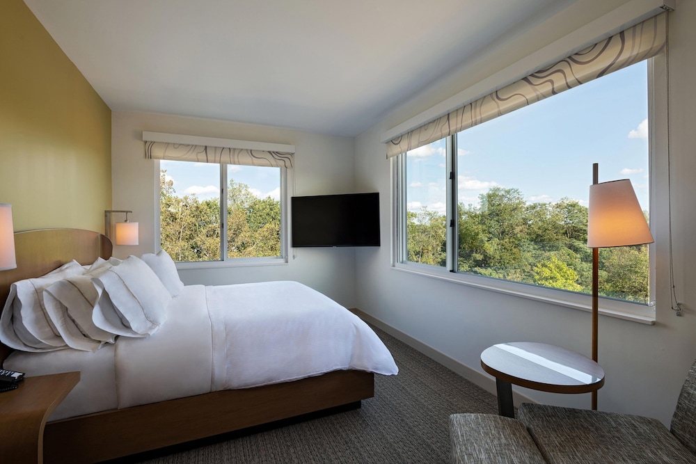 Executive Suite, 1 King Bed with Sofa bed (Mobility/Hearing Access, Roll-In Shwr)