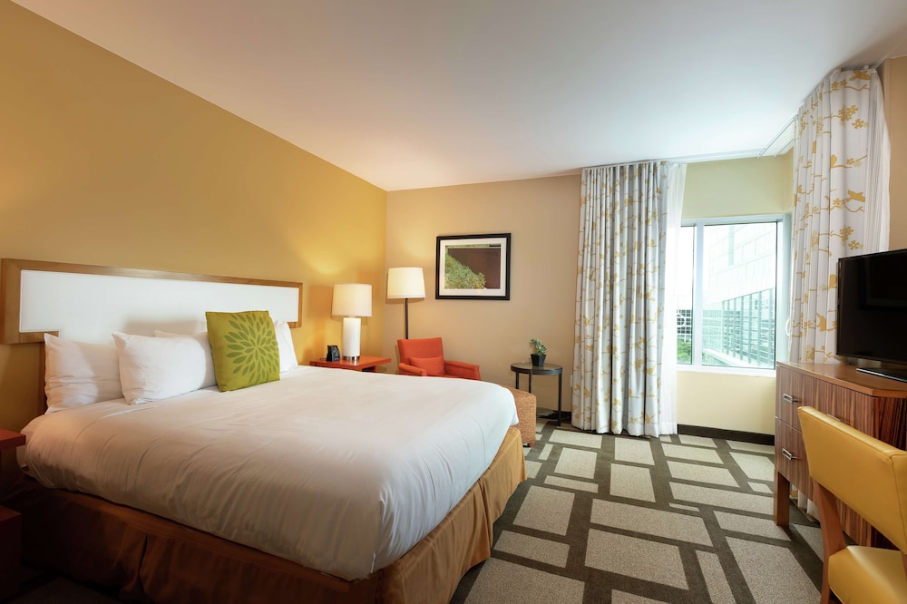 Standard Suite, 1 King Bed