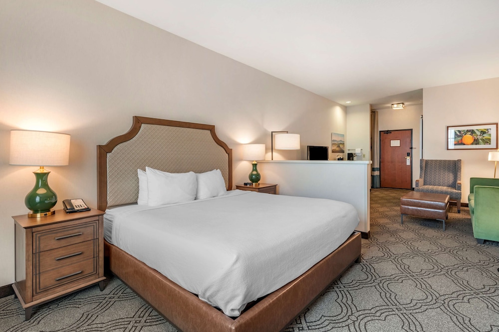 Suite, 1 King Bed, Non Smoking - Photo 1