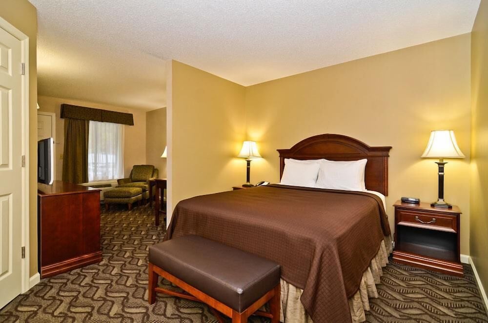 Room, 1 King Bed