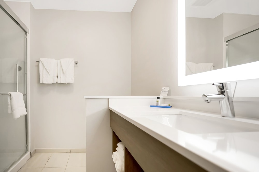Suite, 1 King Bed - Photo 10