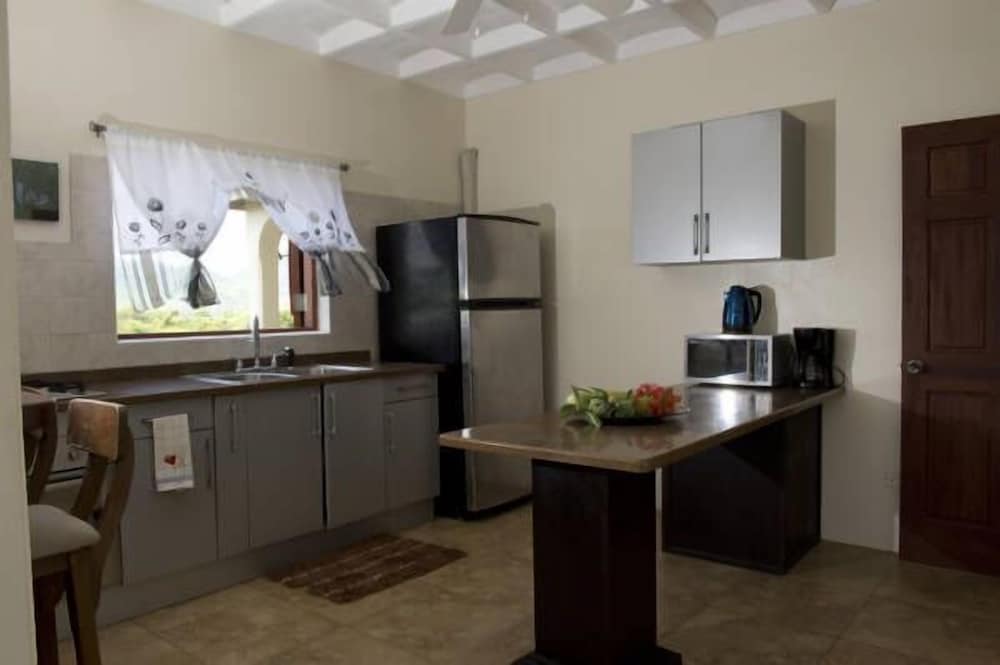 Apartment, 1 Bedroom, Balcony, Ocean View photo 2