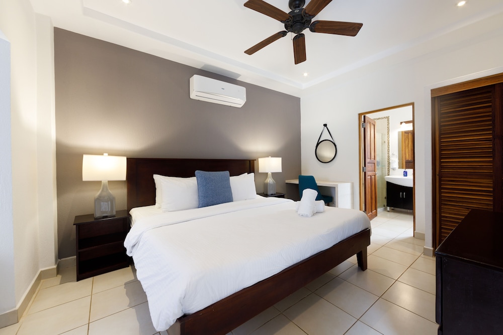 Suite - Photo 1