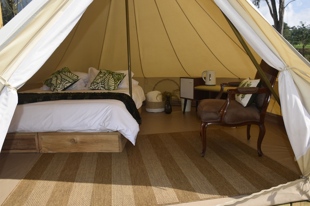 Standard Tent, Multiple Beds photo 3