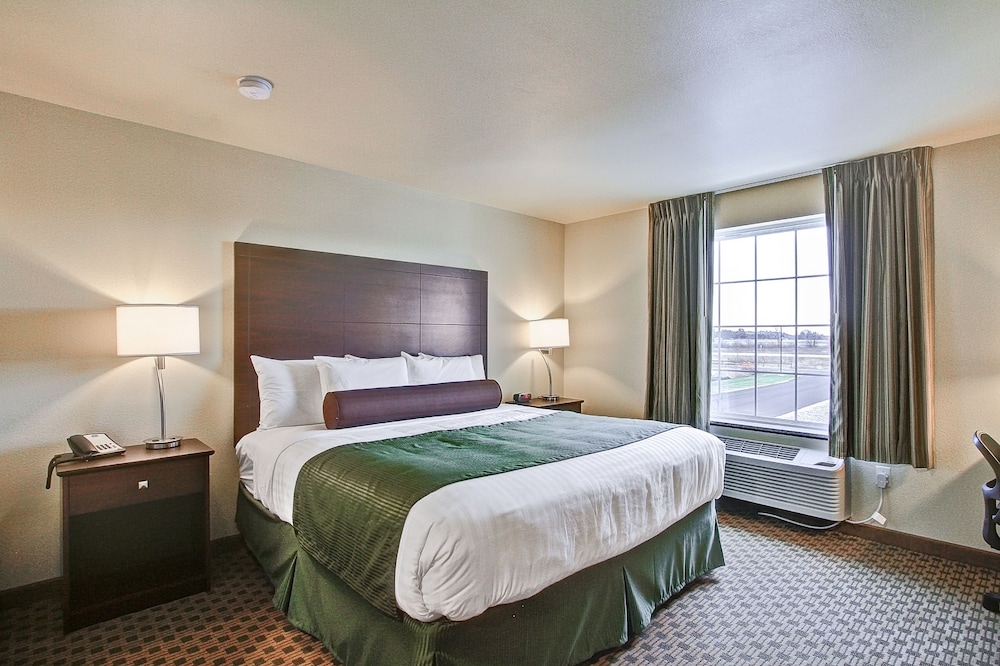 Room, 1 King Bed, Non Smoking