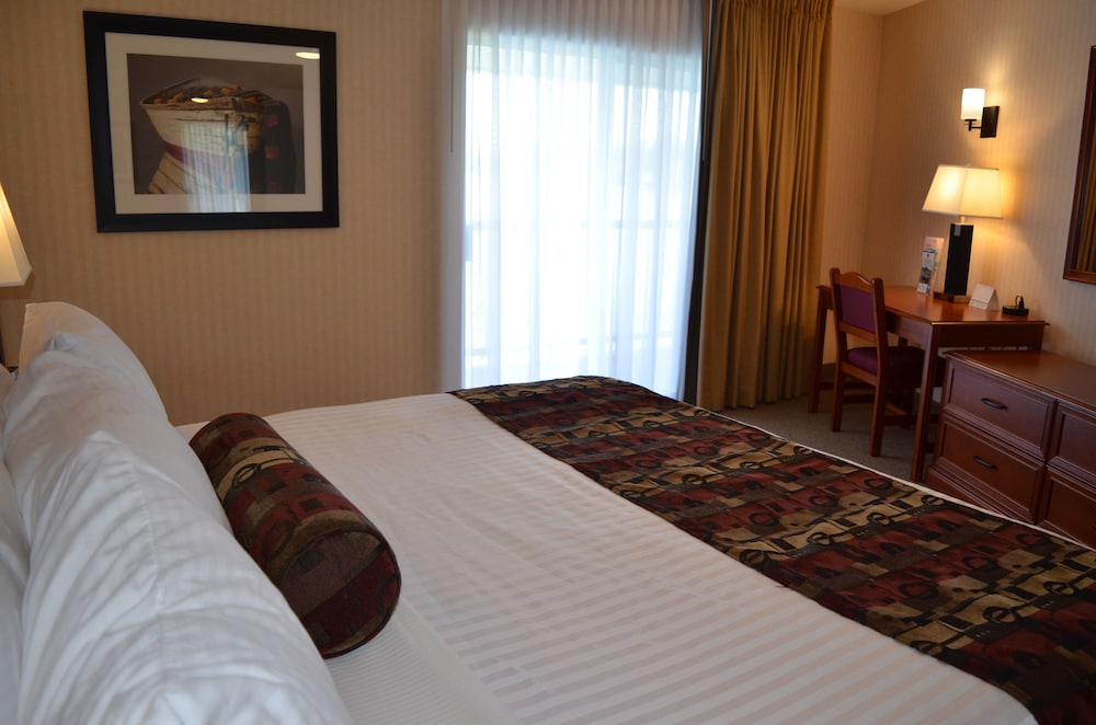 1 Bedroom King Lakeview Suite - No Pets photo 1