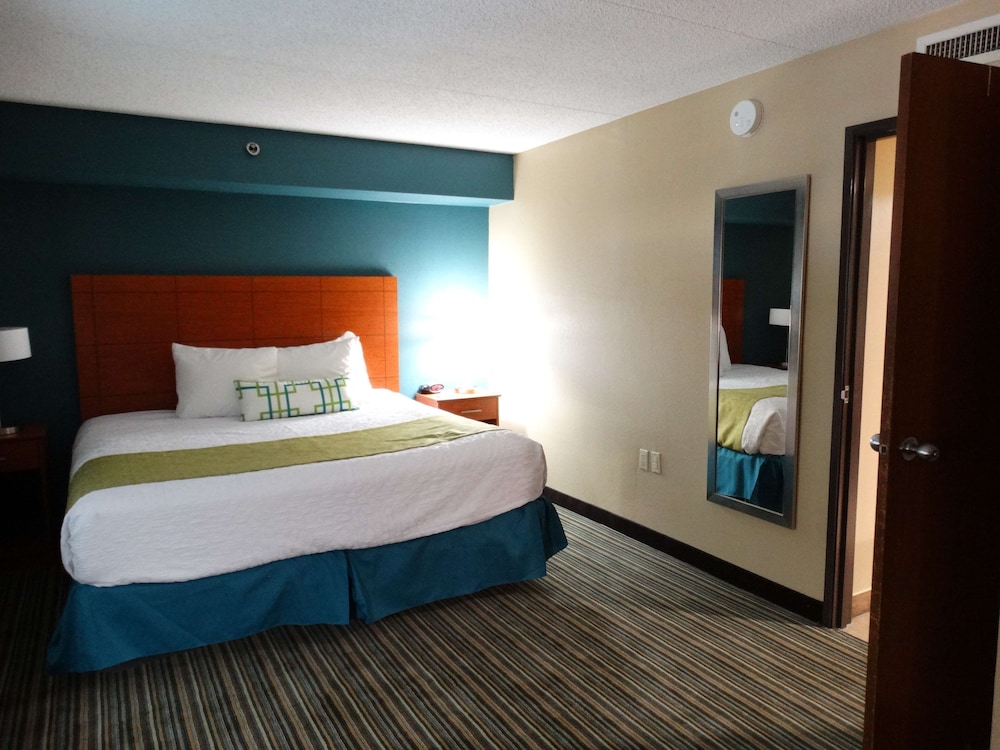 Suite, 1 Queen Bed, Accessible, Refrigerator & Microwave (with Sofabed) - Photo 2
