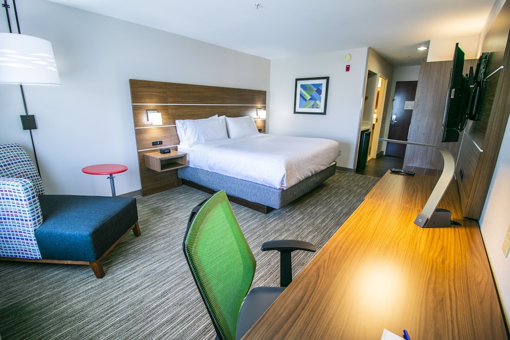 Suite, 1 King Bed photo 3