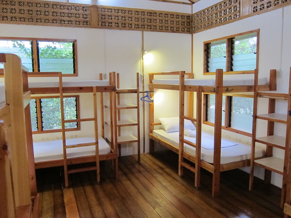 Shared Dormitory photo 1