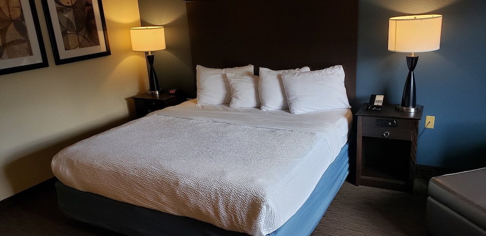 Room, 1 King Bed, Non Smoking - Photo 6