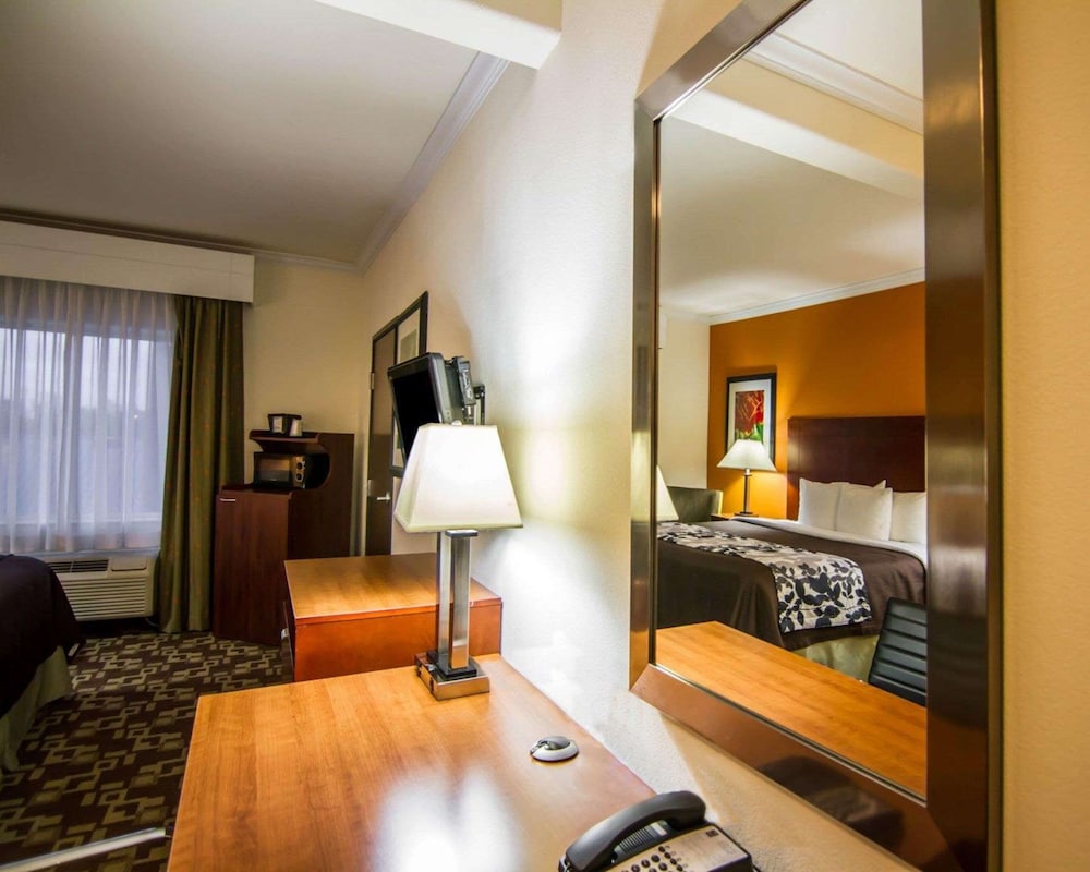 Suite, 1 King Bed with Sofa bed, Non Smoking - Photo 1