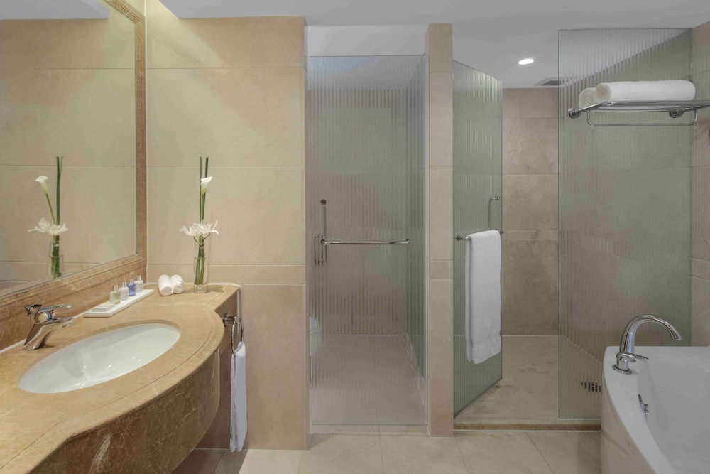 Deluxe Suite (Business Class) thumbnail 5