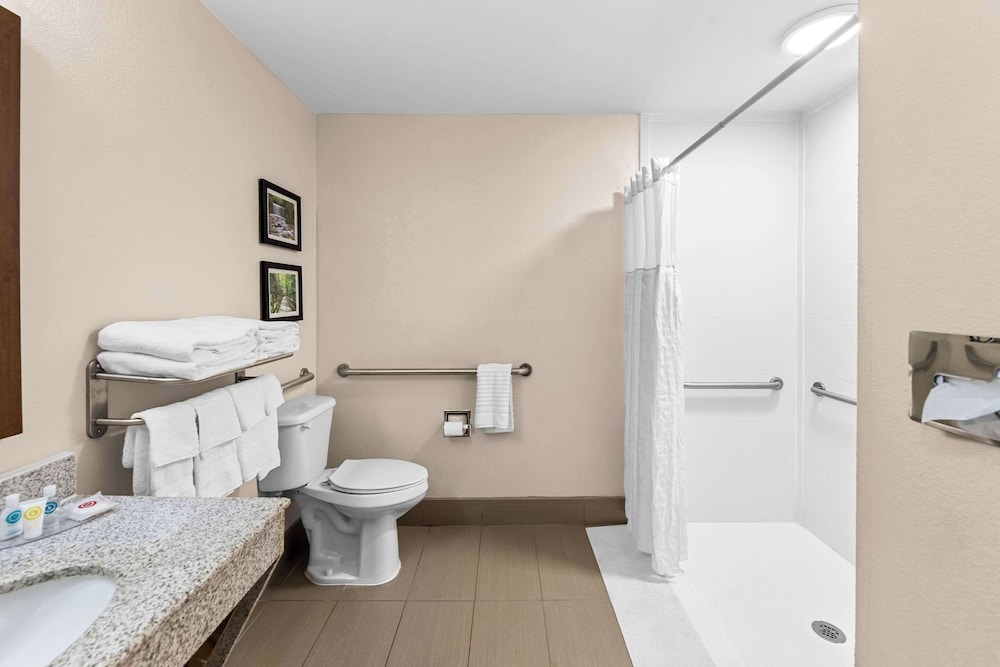 Room, 1 King Bed, Accessible, Non Smoking - Photo 4