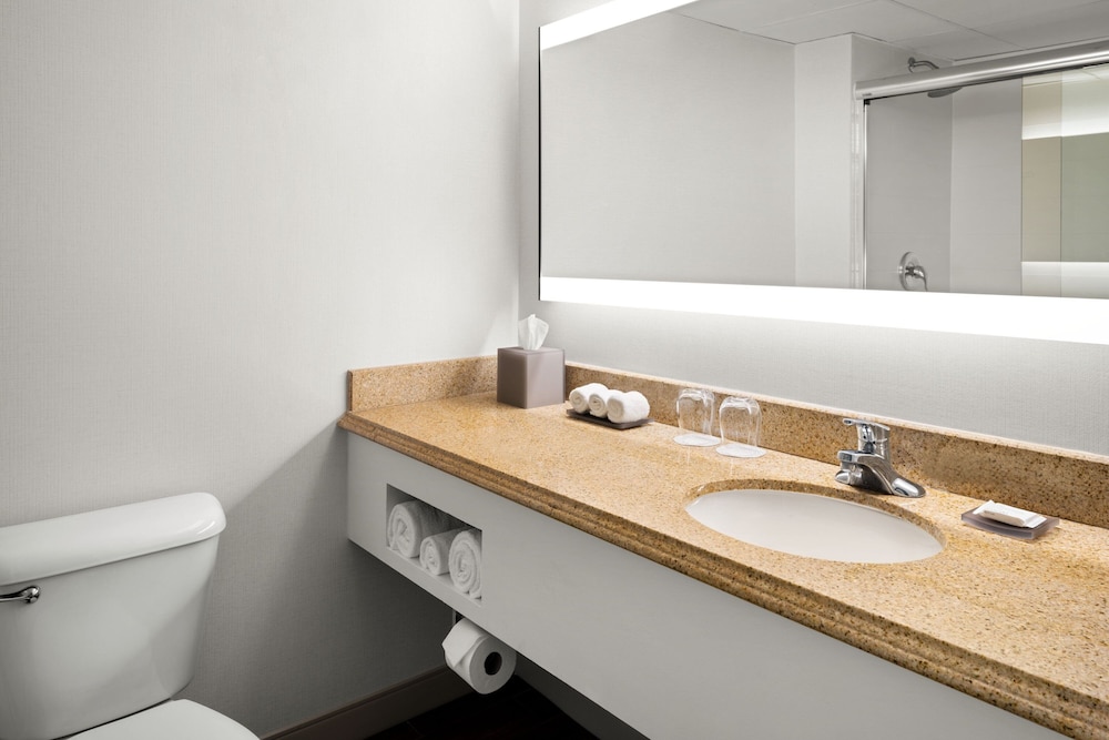 Suite, 1 Bedroom - Photo 9