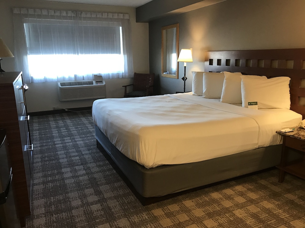 Standard Room, 1 King Bed photo 2