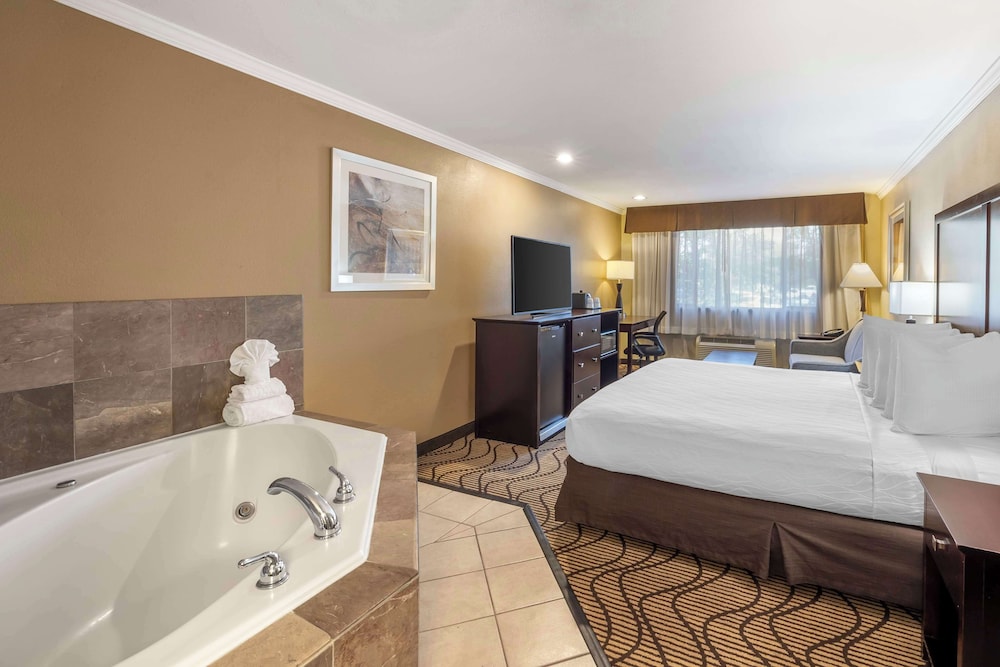 Standard Room, 1 King Bed, Non Smoking, Jetted Tub (with Sofabed) - Photo 3