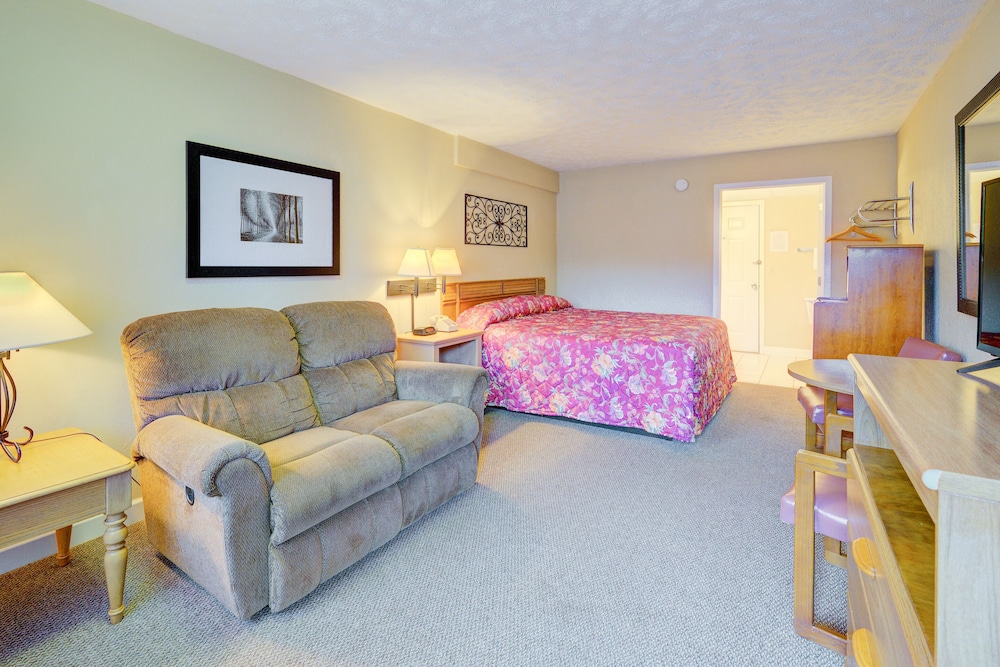 Standard Single Room, 1 Queen Bed photo 3