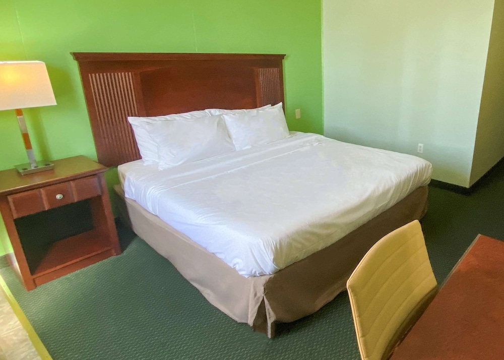 Room, 1 King Bed, Non Smoking photo 2